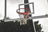 basquetebol, painel traseiro, quadra de basquete, esporte de equipe, streetball