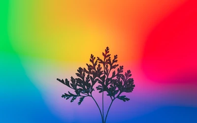 Silhouette d'une plante herbacée vibrante sur un fond dégradé multicolore, mettant en valeur un éclairage RGB esthétique.