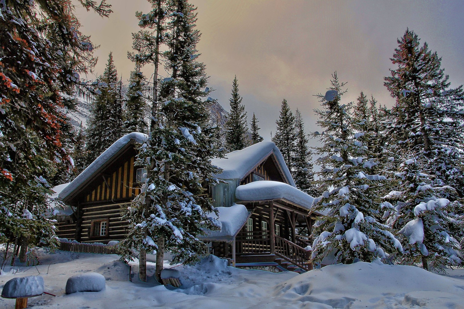 Snowy cabin in the woods with a lot of snow on the roof (snow, winter, tree, nature, freezing)