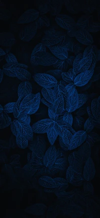 Motivo de hoja azul eléctrico sobre fondo de lana oscura