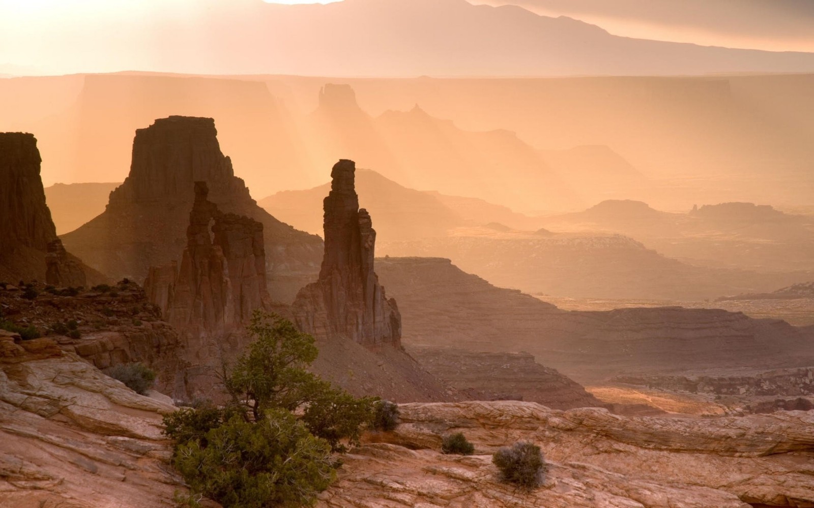 Montañas a lo lejos con un árbol en primer plano (badlands, formas montañosas, formación, roca, paisajismo)