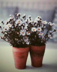 Charmant bouquet de fleurs sauvages dans des pots de fleurs rustiques