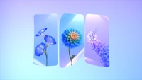 Colorful Spring Flowers in a Gradient Background