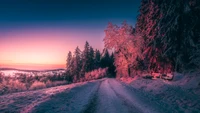 Sereno atardecer de invierno sobre un paisaje cubierto de nieve