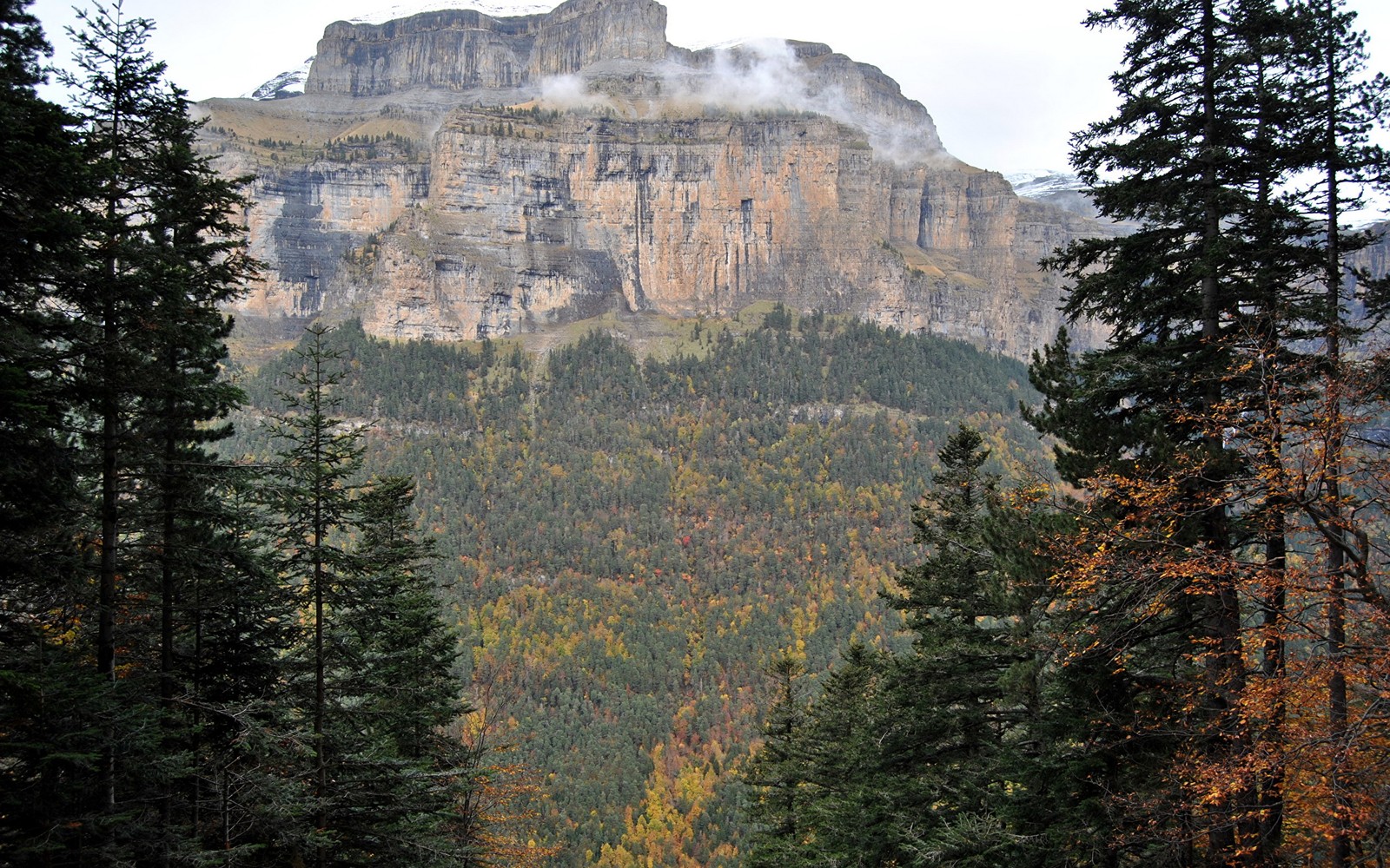 There is a mountain in the background with trees and a road (nature, mountain, tree, wilderness, nature reserve)