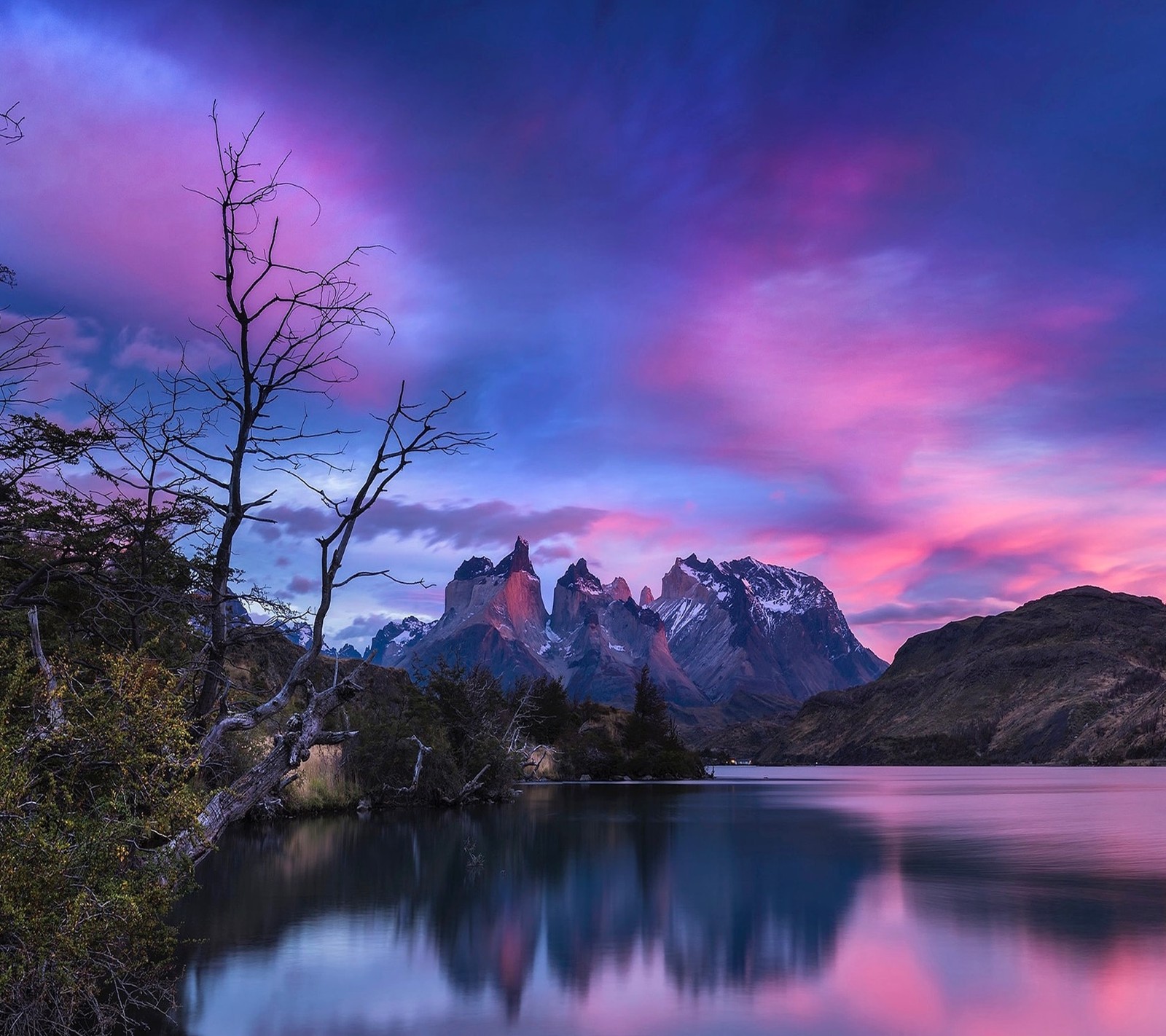 Une vue d'une chaîne de montagnes avec un lac et un arbre (paysage, nature)