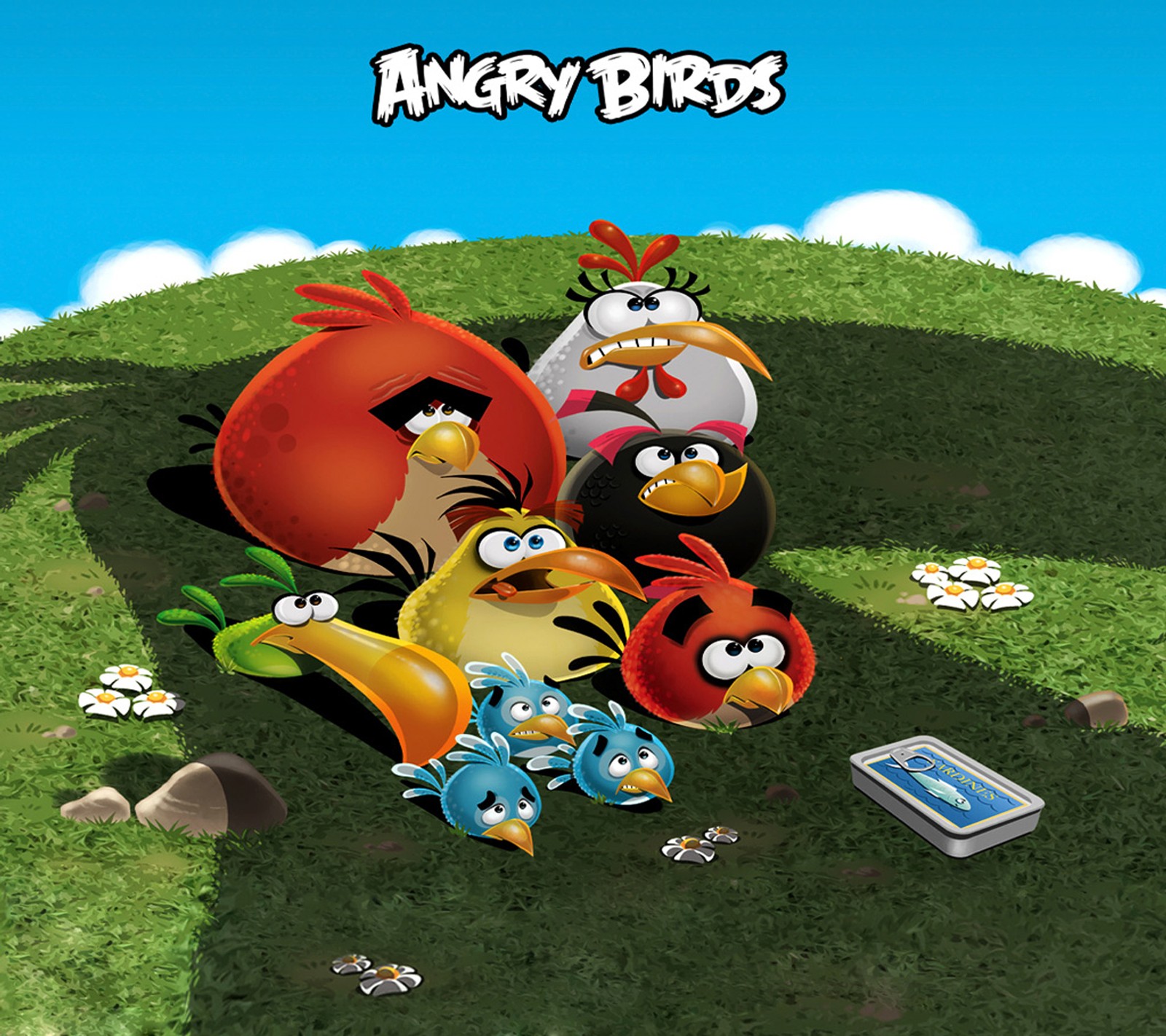 angry bird, game, hd wallpaper