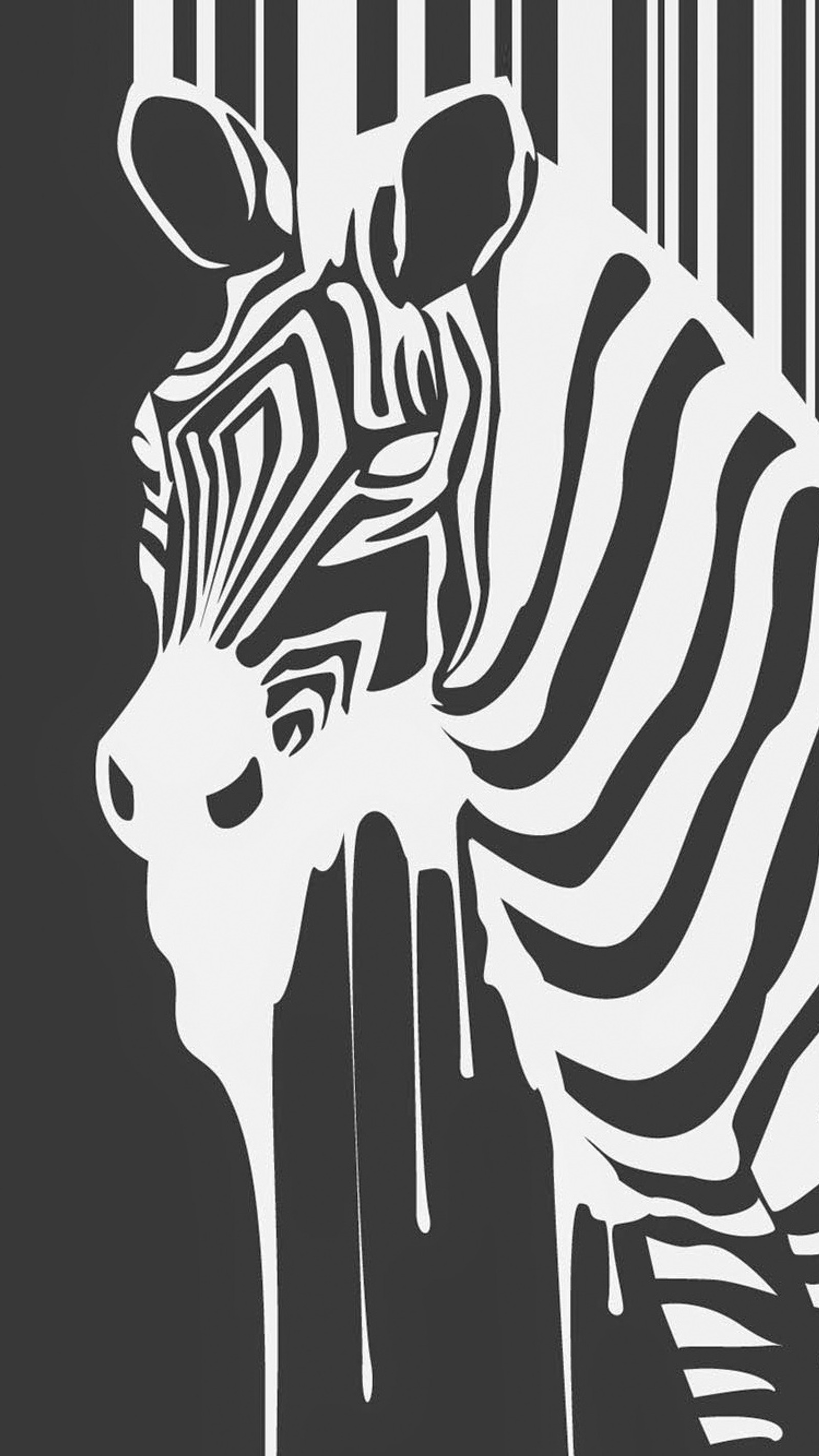 Zebra with a barcode on it's back and a black background (animals, black and white, design, draw, zebra)