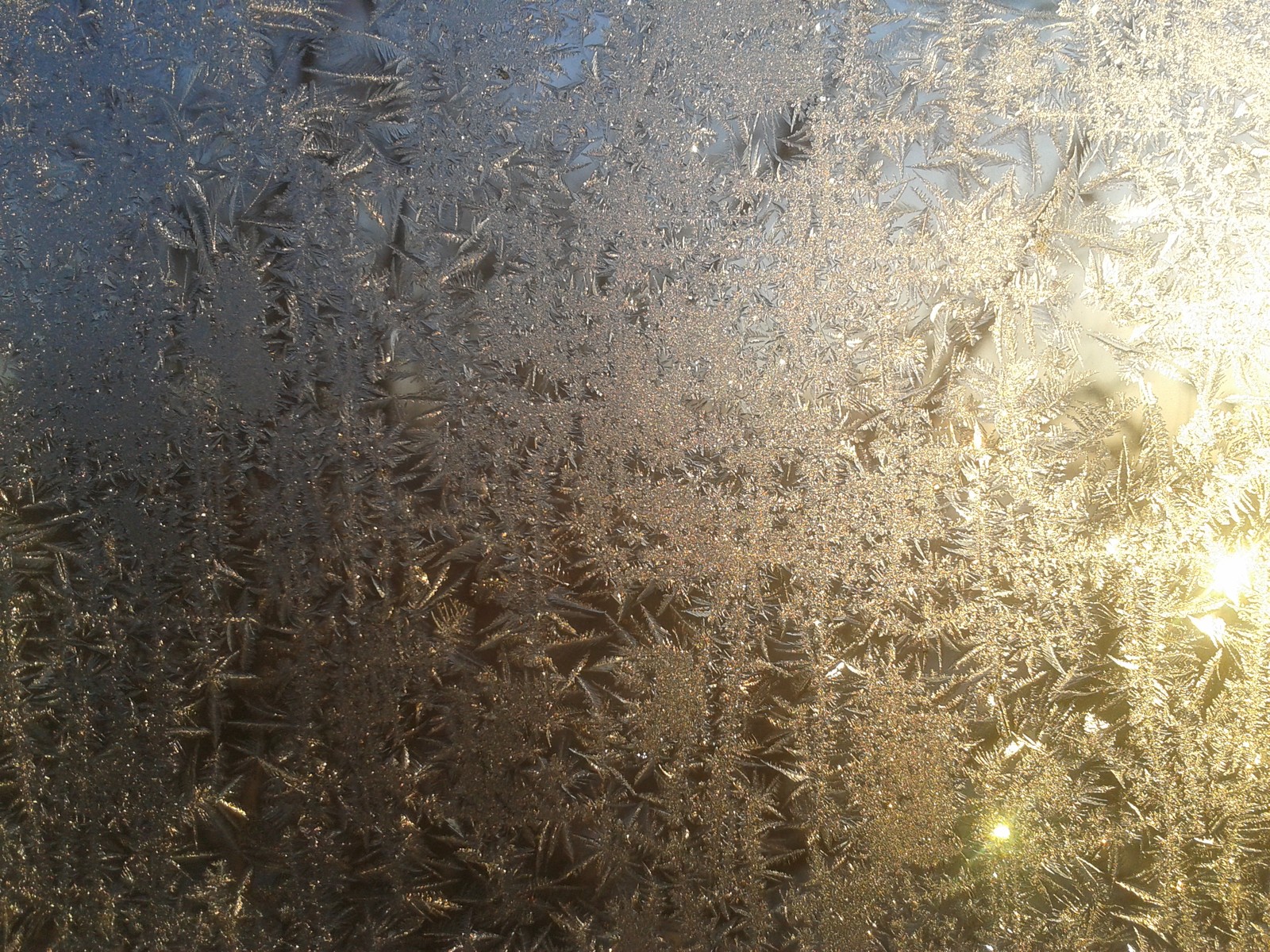 Um close de uma janela congelada com o sol brilhando através (patterns of frost, primavera)