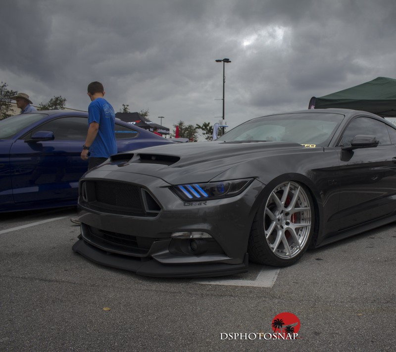 Арабский мустанг припаркован на парковке с другими машинами (машины, carshow, мустанг, mustang)