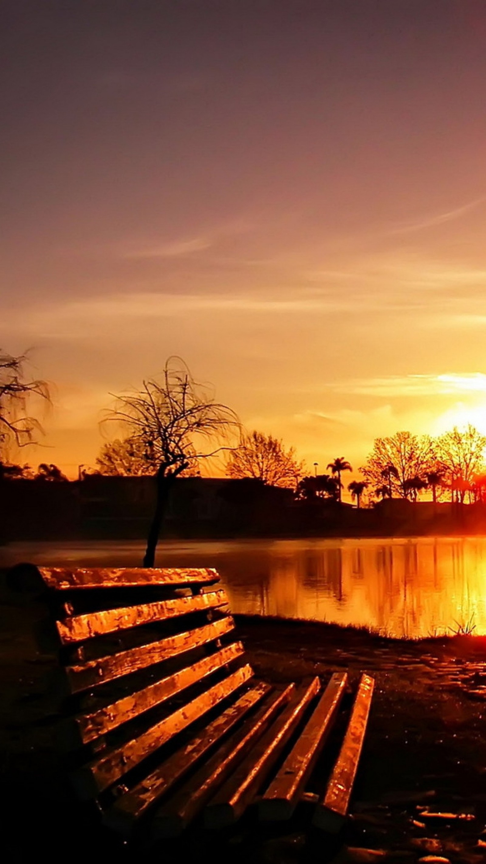 Coucher de soleil sur un lac avec un banc et des arbres au premier plan (1520, parc de la ville, hd, paysage, lumia)