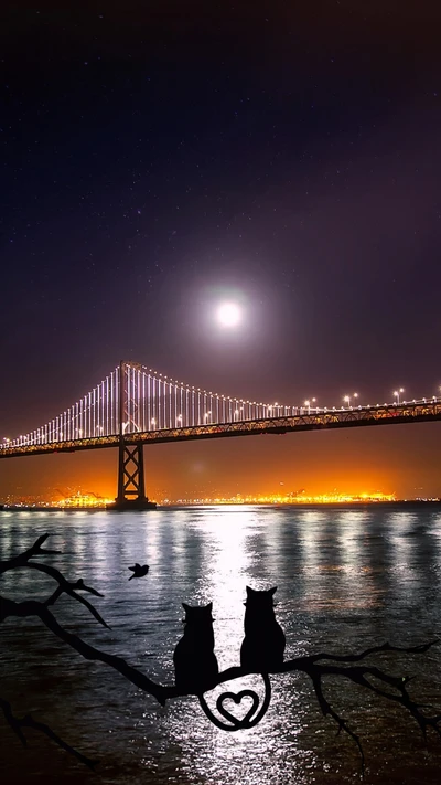 schönheit, brücke, katzen, abend, vollmond