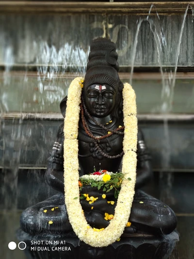 Meditative Shiva Statue Surrounded by Water and Floral Offerings