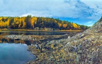 Reflets d'automne : Une nature sauvage tranquille au bord du lac