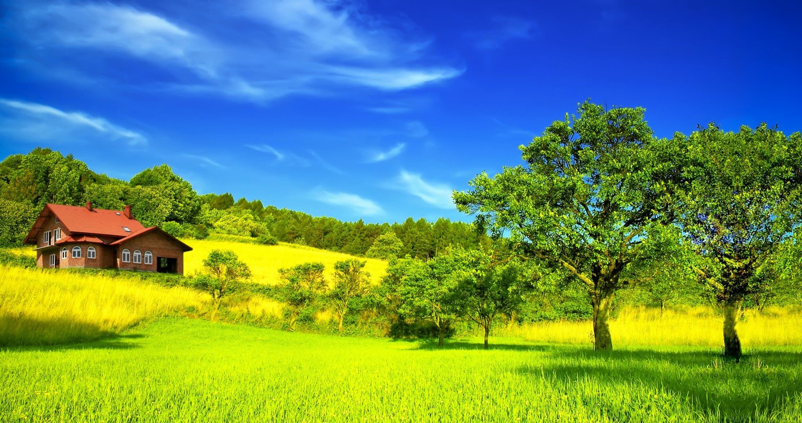 nature, grassland, field, meadow, tree wallpaper