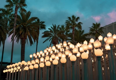 Palmeras iluminadas bajo un cielo crepuscular