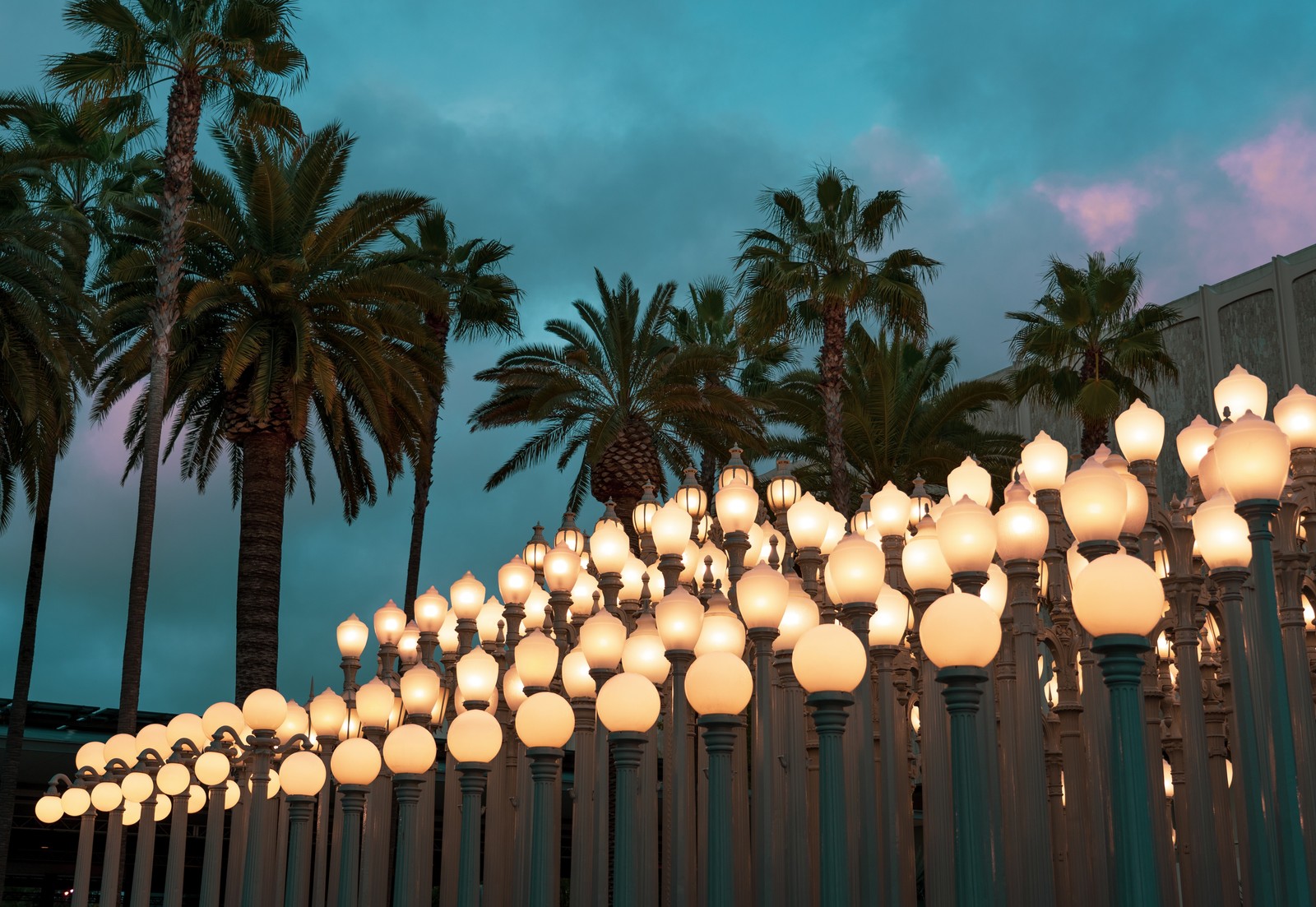 coconut, architecture, palm trees, palm tree, sky Download Wallpaper