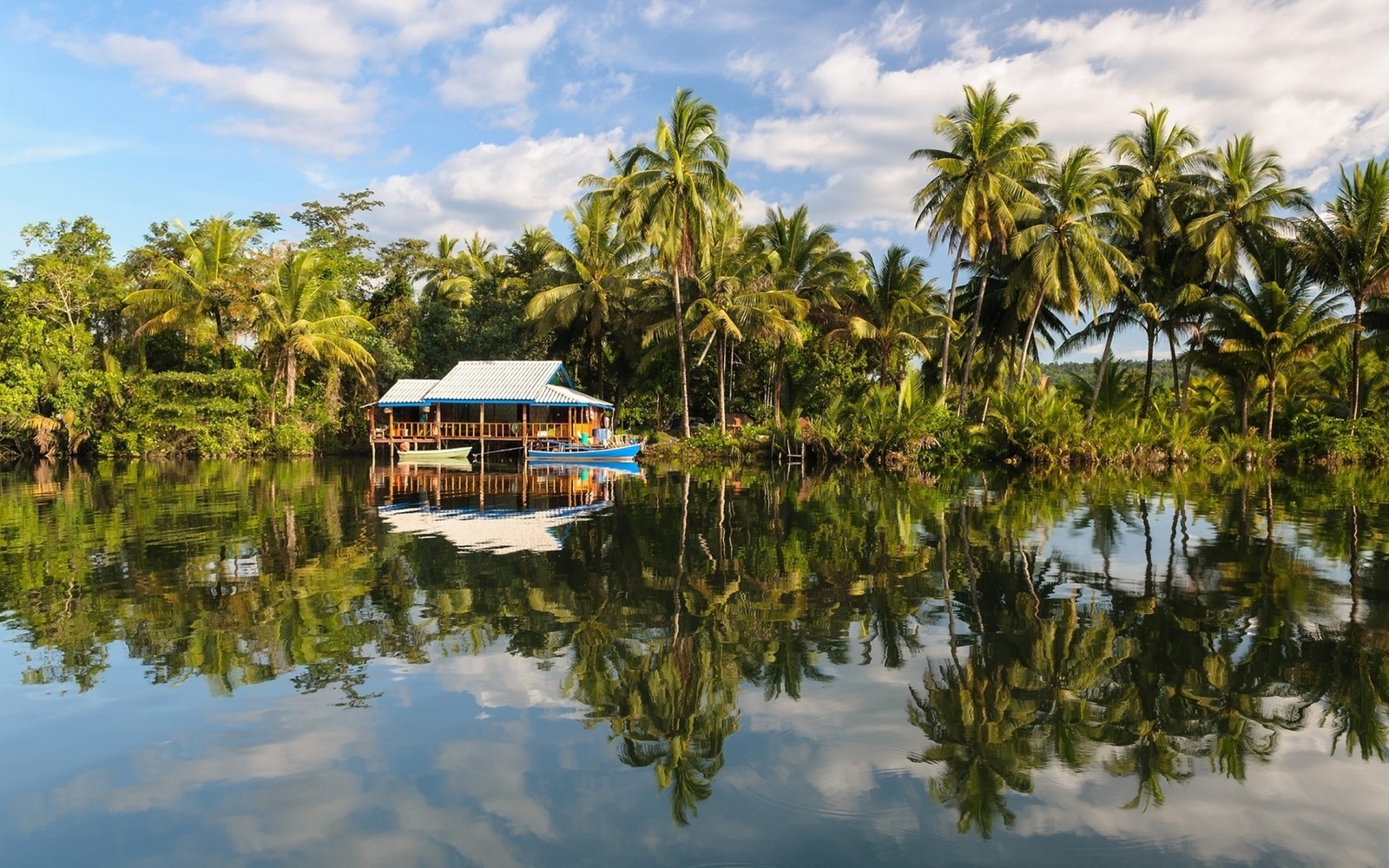 Um barco em um rio calmo com palmeiras ao fundo (reflexo, árvore, palmeira, via navegável, tanque)