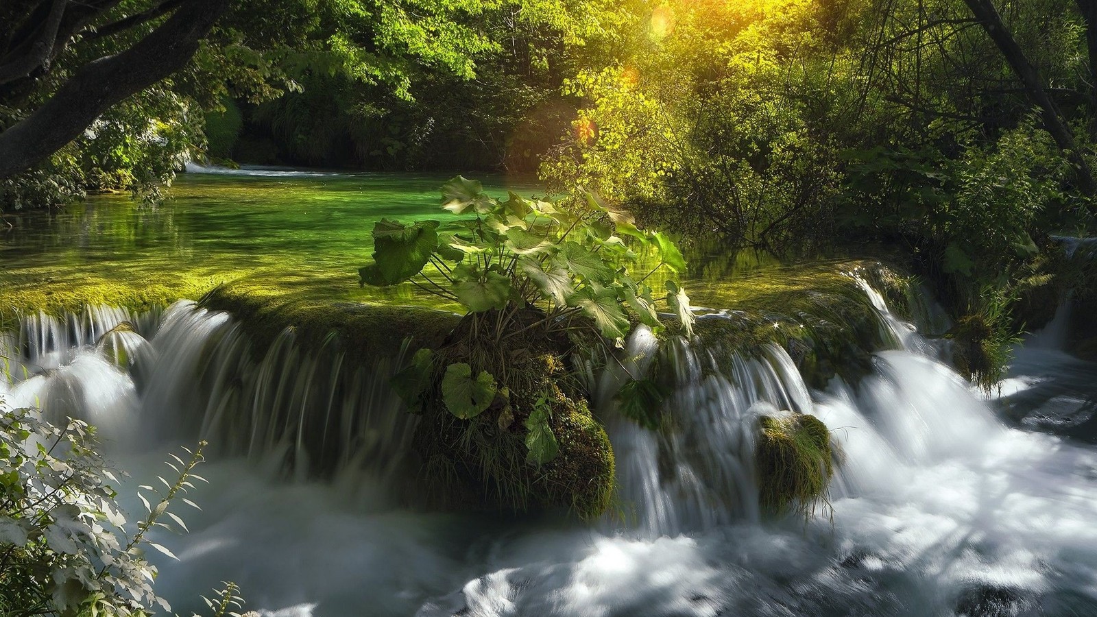 Un gros plan d'une cascade avec le soleil brillant au-dessus (parc national des lacs de plitvice, plitvice lakes national park, parc national, la cascade, parc)