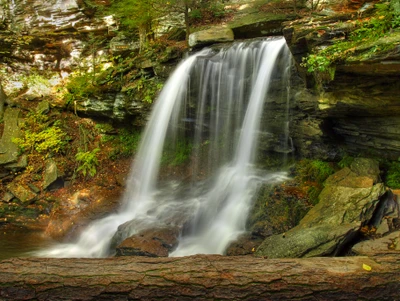 Seren Wasserfall, der durch üppige Vegetation fließt