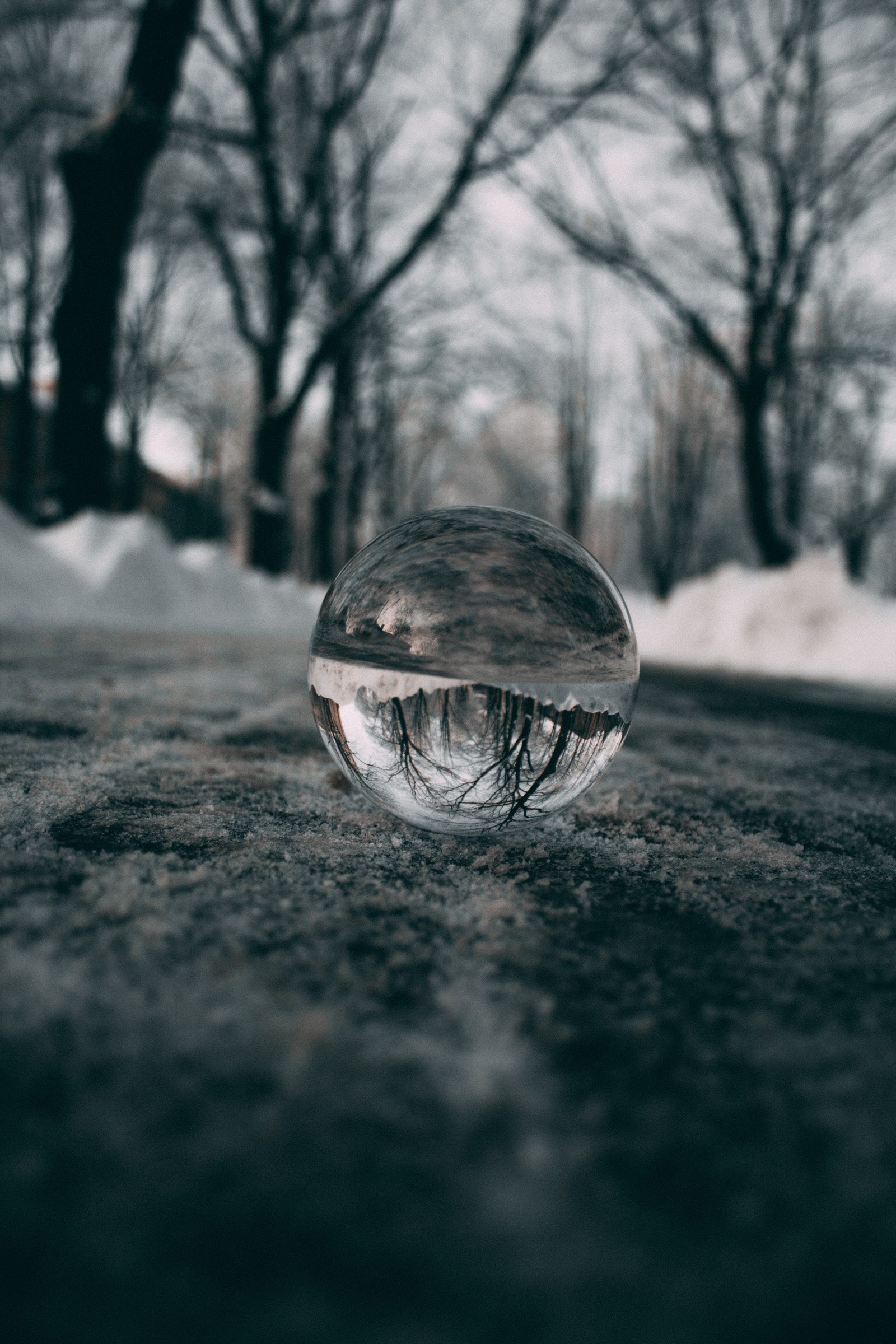 A close up of a glass ball on a snowy surface (black and white, sky, water, sphere, close up)