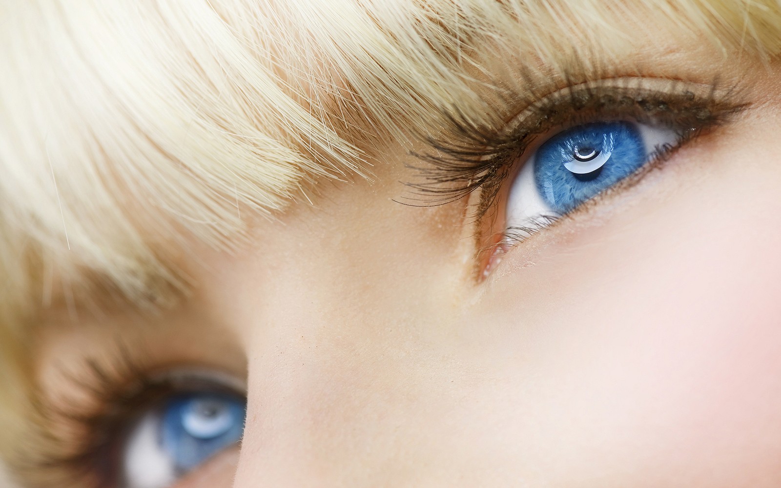 Une fille aux cheveux blonds et aux yeux bleus regardant l'appareil photo (couleur des yeux, beauté, visage, sourcil, œil)