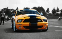 shelby mustang, sports car, car, ford gt, eleanor