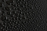 Abstract Water Droplets on a Black Background