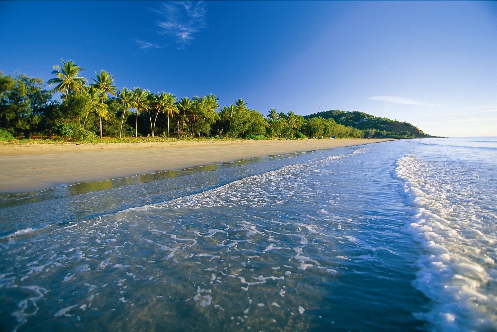 Vue aérienne d'une plage avec un plan d'eau et des palmiers (plan deau, mer, océan, rivage, eau)