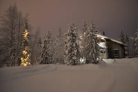 Serene Winterlandschaft: Schneebedeckte Bäume und gemütliche Hütte bei Dämmerung