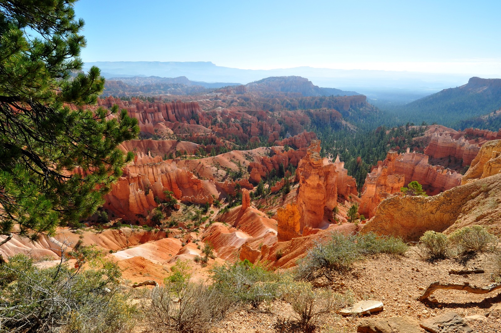 Скачать обои национальный парк брайс каньон, город брайс каньон, bryce canyon city, национальный парк, парк