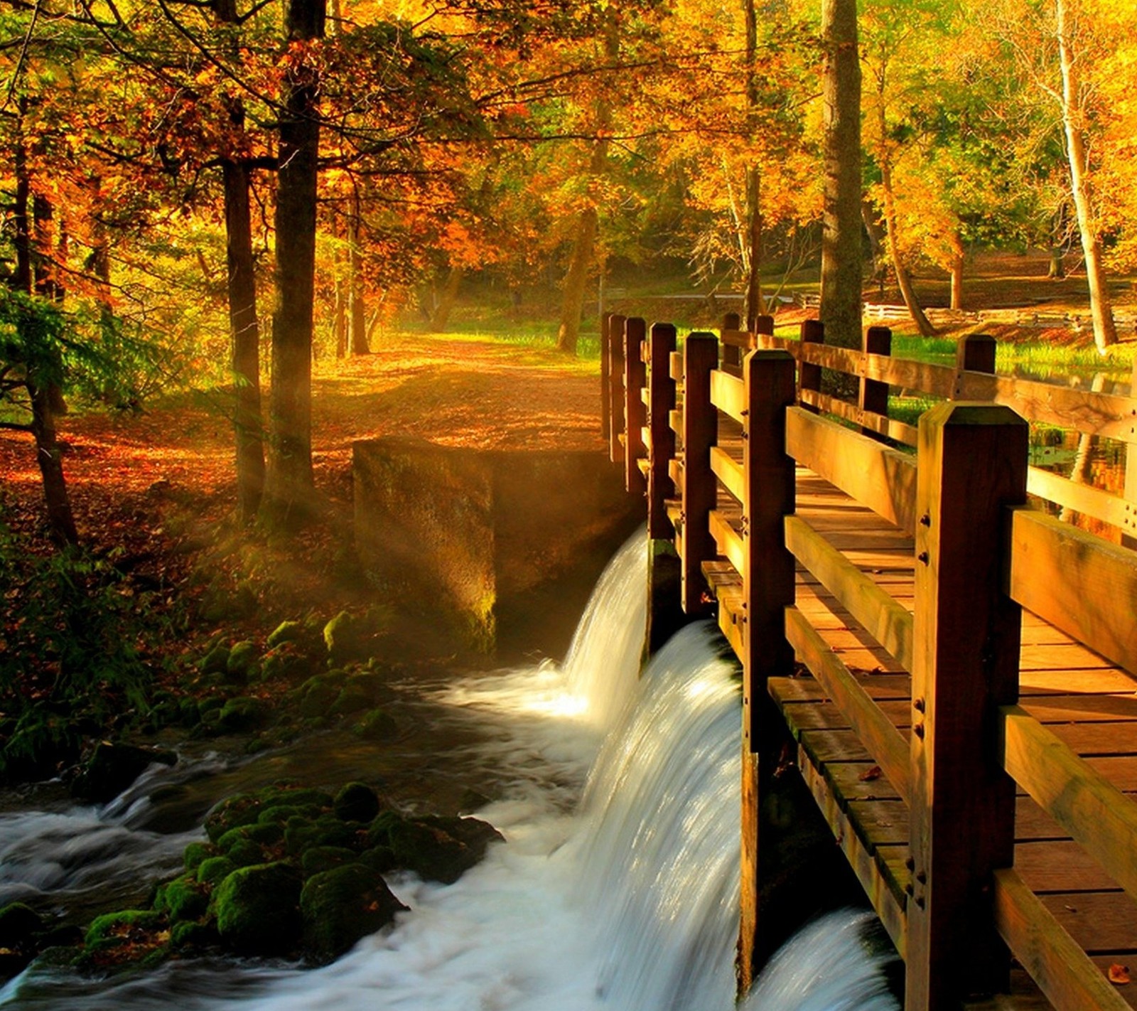 Arafed bridge over a stream in a forest with a waterfall (alley, autumn, nature)