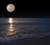 Mar iluminado por la luna en la noche