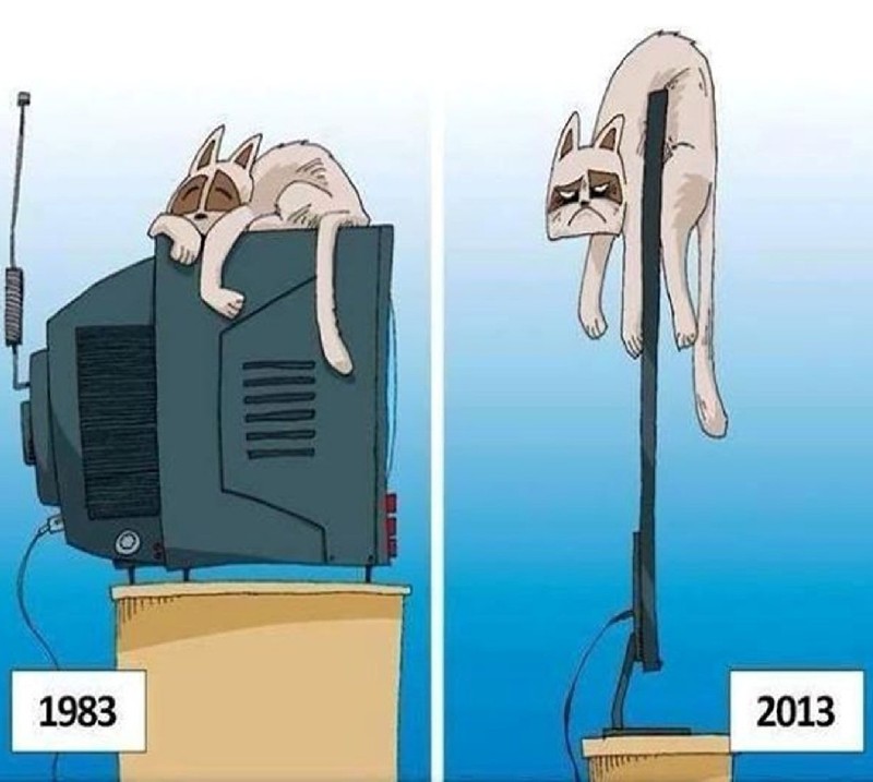 Отредактированное изображение кота, спящего на телевизоре с пультом (then and now)