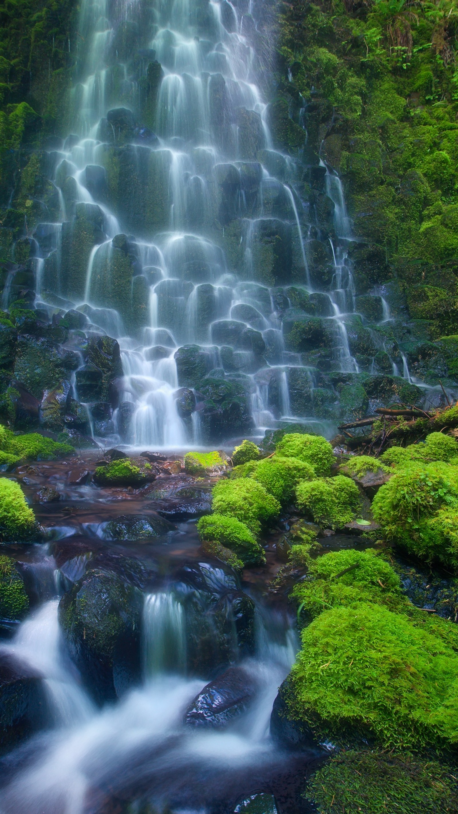 Cascada con musgo creciendo en las rocas y agua fluyendo por ella (naturaleza, cascada)