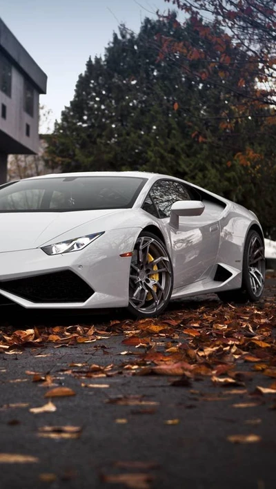 car, huracan, lamborghini, leafs