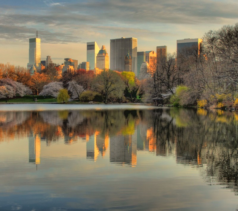 Деревья на переднем плане и озеро на заднем плане (центральный парк, central park, манхэттен, нью йорк, new york)