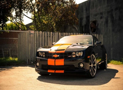 camaro, coche, chevrolet, genial, rápido