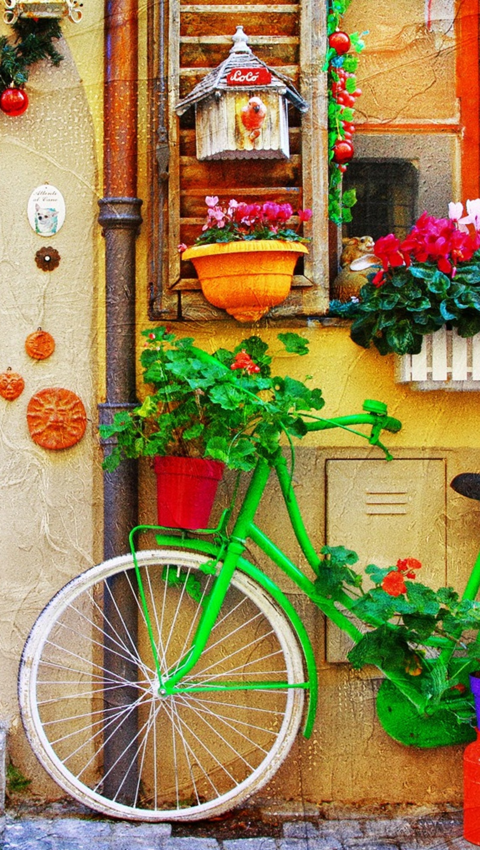 Descargar fondo de pantalla bicicleta, flor, viejo