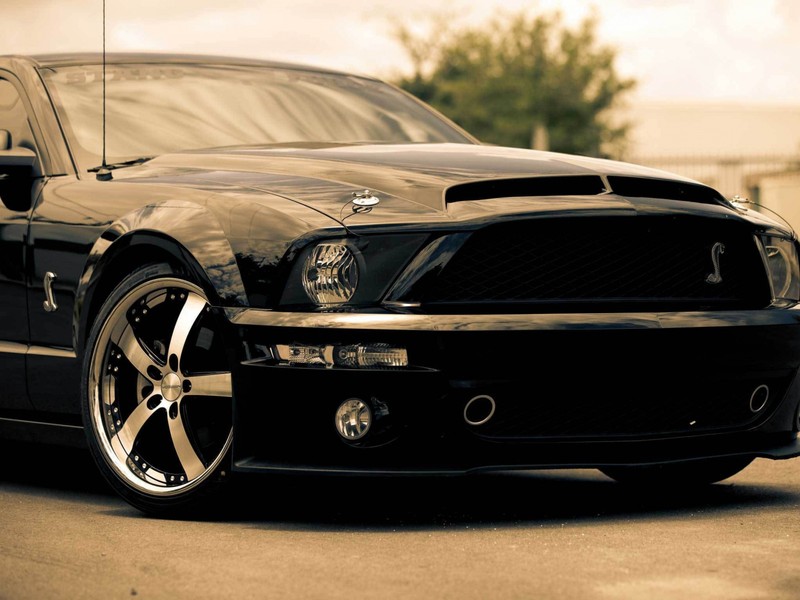 A close up of a black mustang parked on a street (black, car)