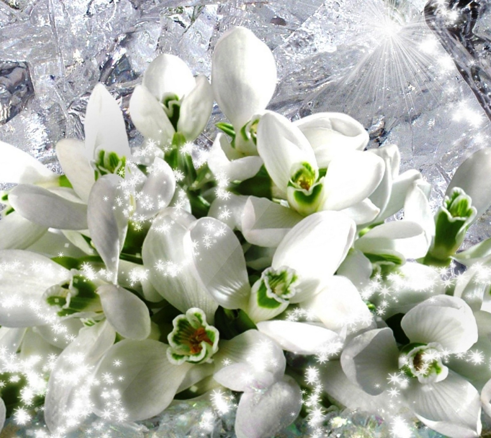 Il y a un bouquet de fleurs blanches dans un vase en verre (fleurs, jardin, glace, fleurs blanches)