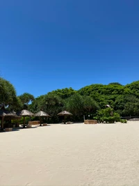 Ruhiger tropischer Strand mit Palmen und Strohdächern