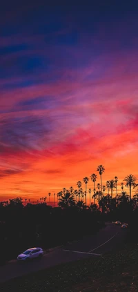 Atardecer vibrante sobre una carretera bordeada de palmeras con nubes cúmulo