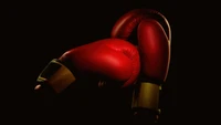 boxing, gloves, black background, red aesthetic, 5k wallpaper