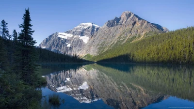 Réflexion sereine des montagnes et de la forêt de pins dans le parc national de Banff