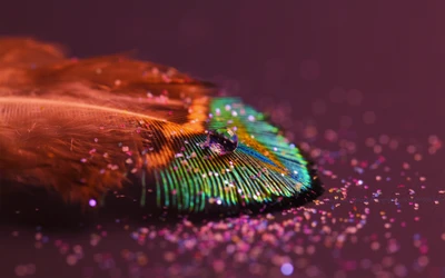 Macro Close-Up of a Peacock Feather with Water Drop and Glittering Background