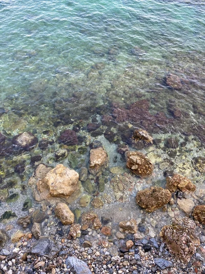 Aguas claras de Azure que revelan un vibrante arrecife de coral y un lecho rocoso