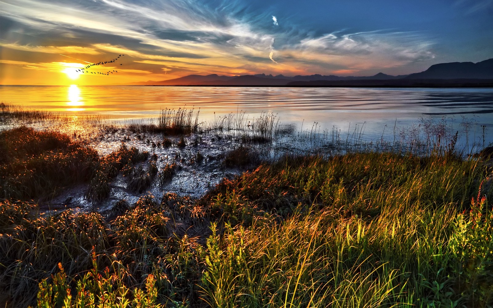 A view of a lake with a sunset in the background (water, reflection, grass, grasses, dawn)