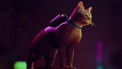 Gato cibernético en el juego Stray: Una aventura felina