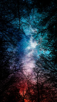 Celestial Symphony: A Starry Night Framed by Trees